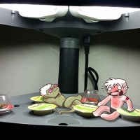 Image created, Narugi owned, by Neekko